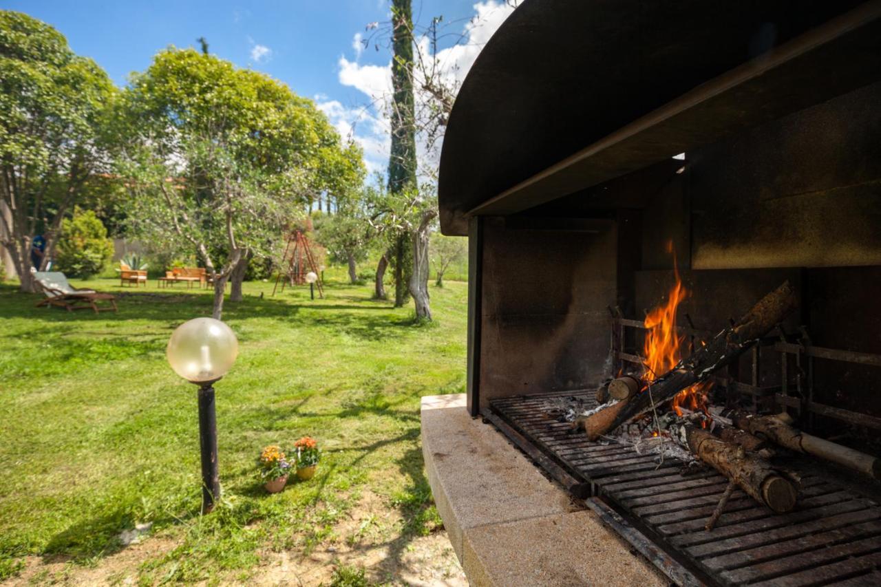 Artemisia Negli Ulivi B&B Magliano in Toscana Zewnętrze zdjęcie