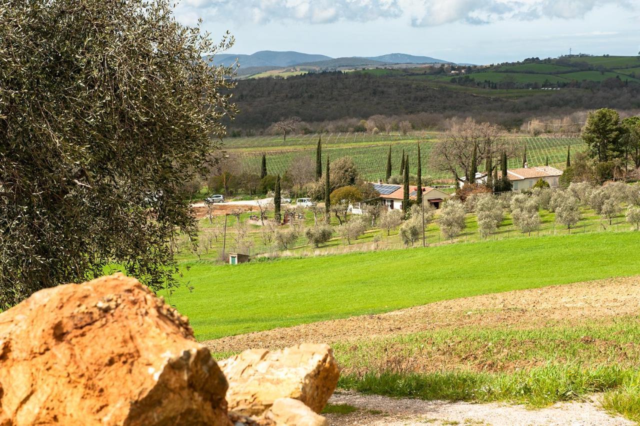 Artemisia Negli Ulivi B&B Magliano in Toscana Zewnętrze zdjęcie