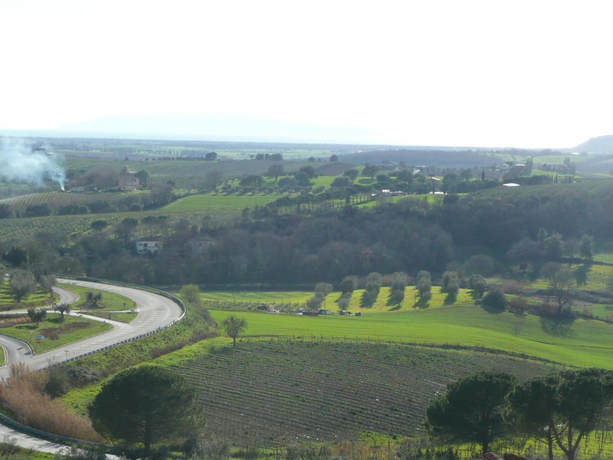 Artemisia Negli Ulivi B&B Magliano in Toscana Zewnętrze zdjęcie