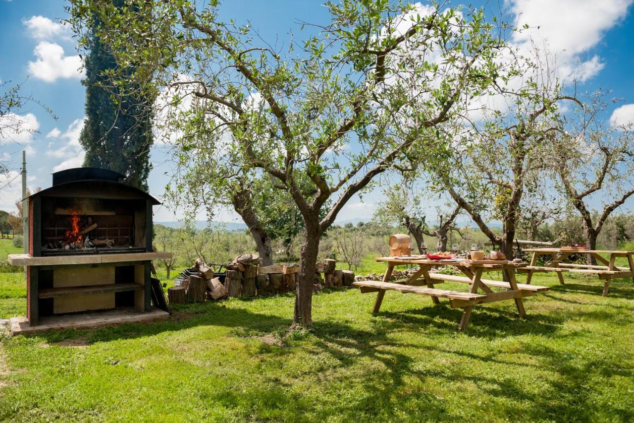 Artemisia Negli Ulivi B&B Magliano in Toscana Zewnętrze zdjęcie