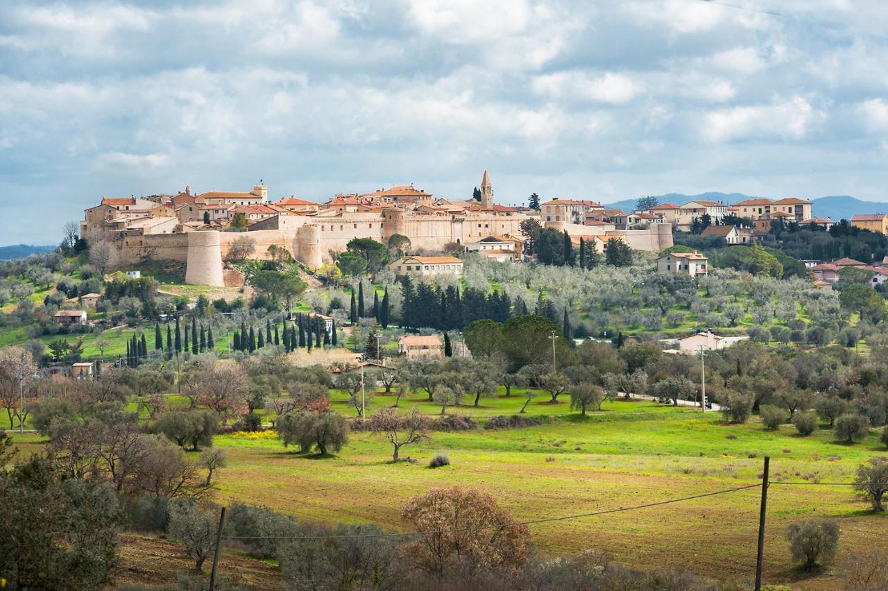 Artemisia Negli Ulivi B&B Magliano in Toscana Zewnętrze zdjęcie
