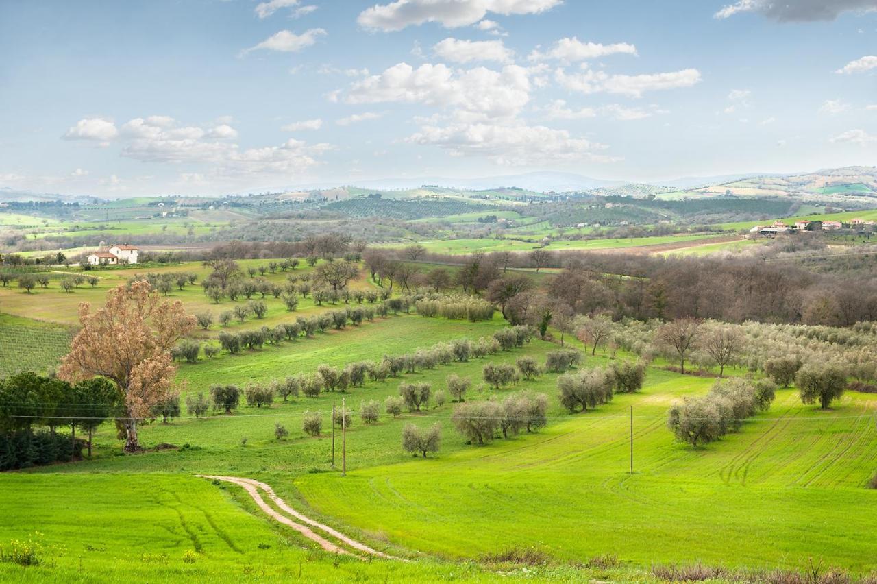 Artemisia Negli Ulivi B&B Magliano in Toscana Zewnętrze zdjęcie