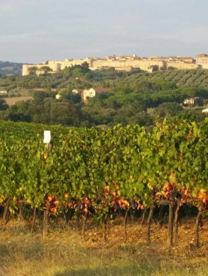 Artemisia Negli Ulivi B&B Magliano in Toscana Zewnętrze zdjęcie