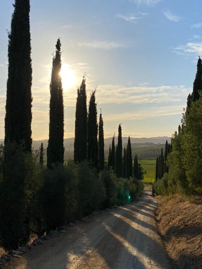 Artemisia Negli Ulivi B&B Magliano in Toscana Zewnętrze zdjęcie
