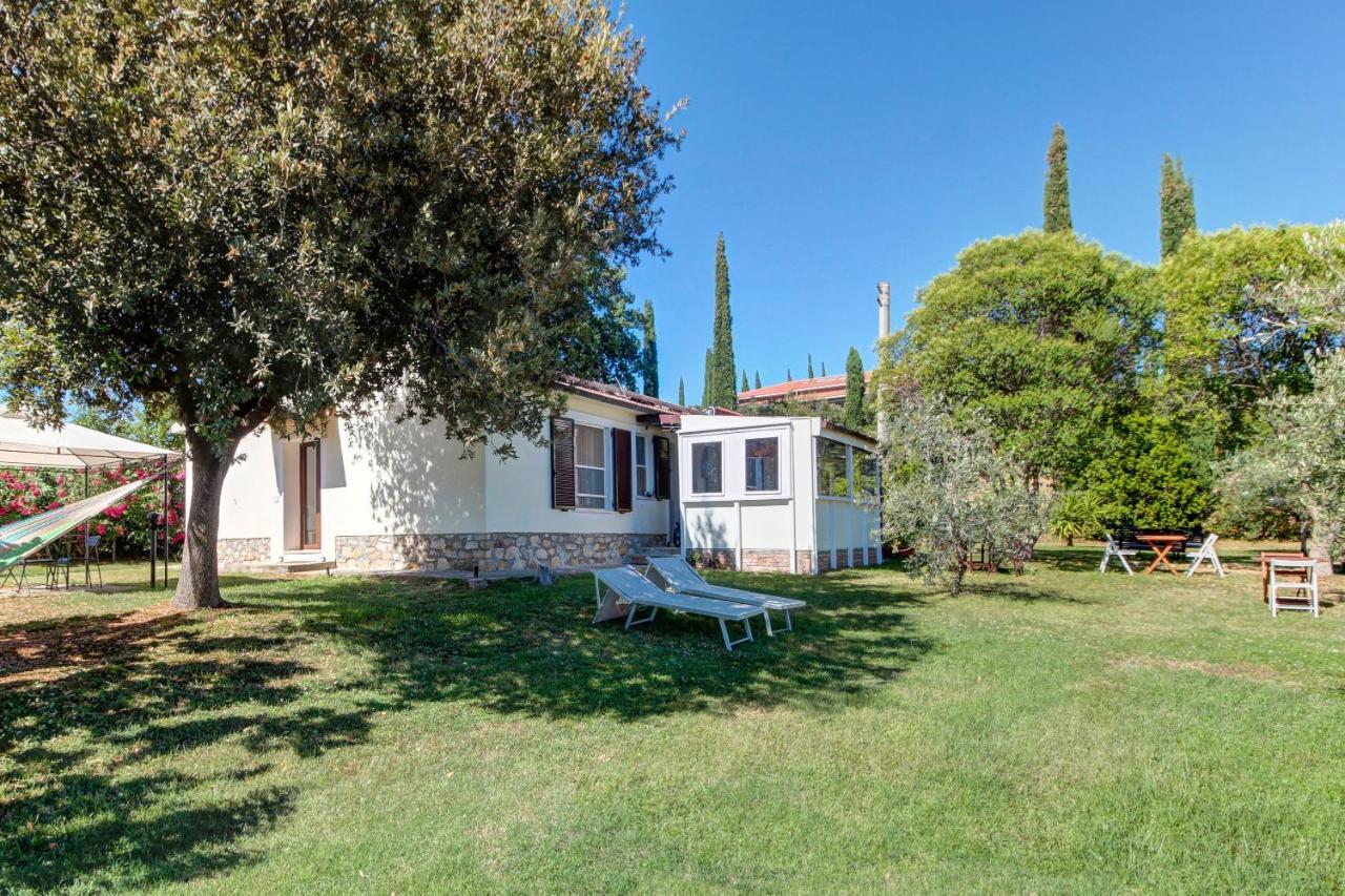 Artemisia Negli Ulivi B&B Magliano in Toscana Zewnętrze zdjęcie