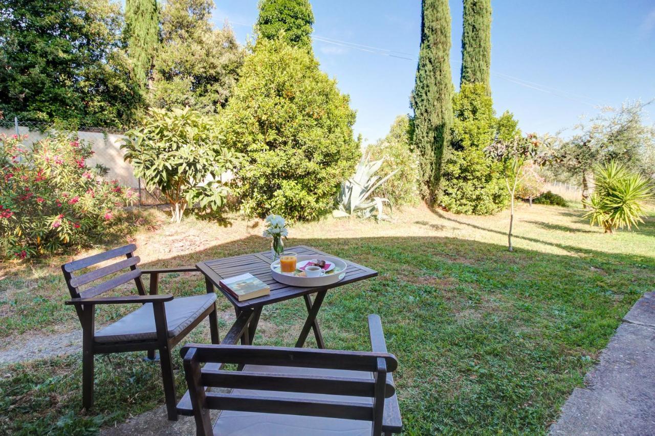 Artemisia Negli Ulivi B&B Magliano in Toscana Zewnętrze zdjęcie