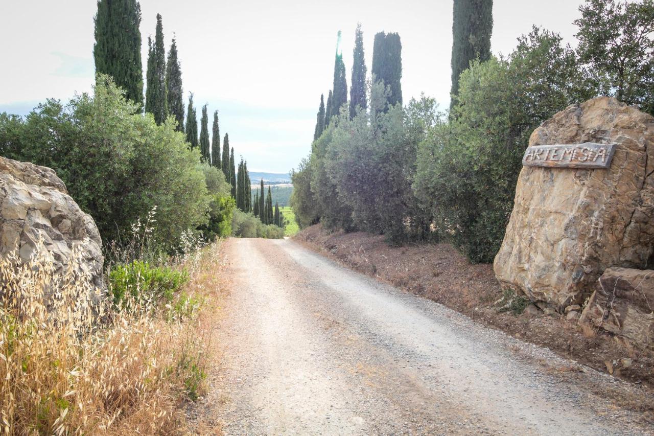 Artemisia Negli Ulivi B&B Magliano in Toscana Zewnętrze zdjęcie