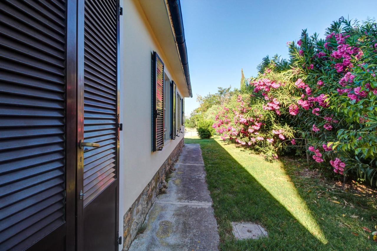 Artemisia Negli Ulivi B&B Magliano in Toscana Zewnętrze zdjęcie