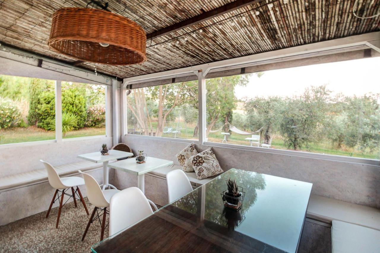 Artemisia Negli Ulivi B&B Magliano in Toscana Zewnętrze zdjęcie