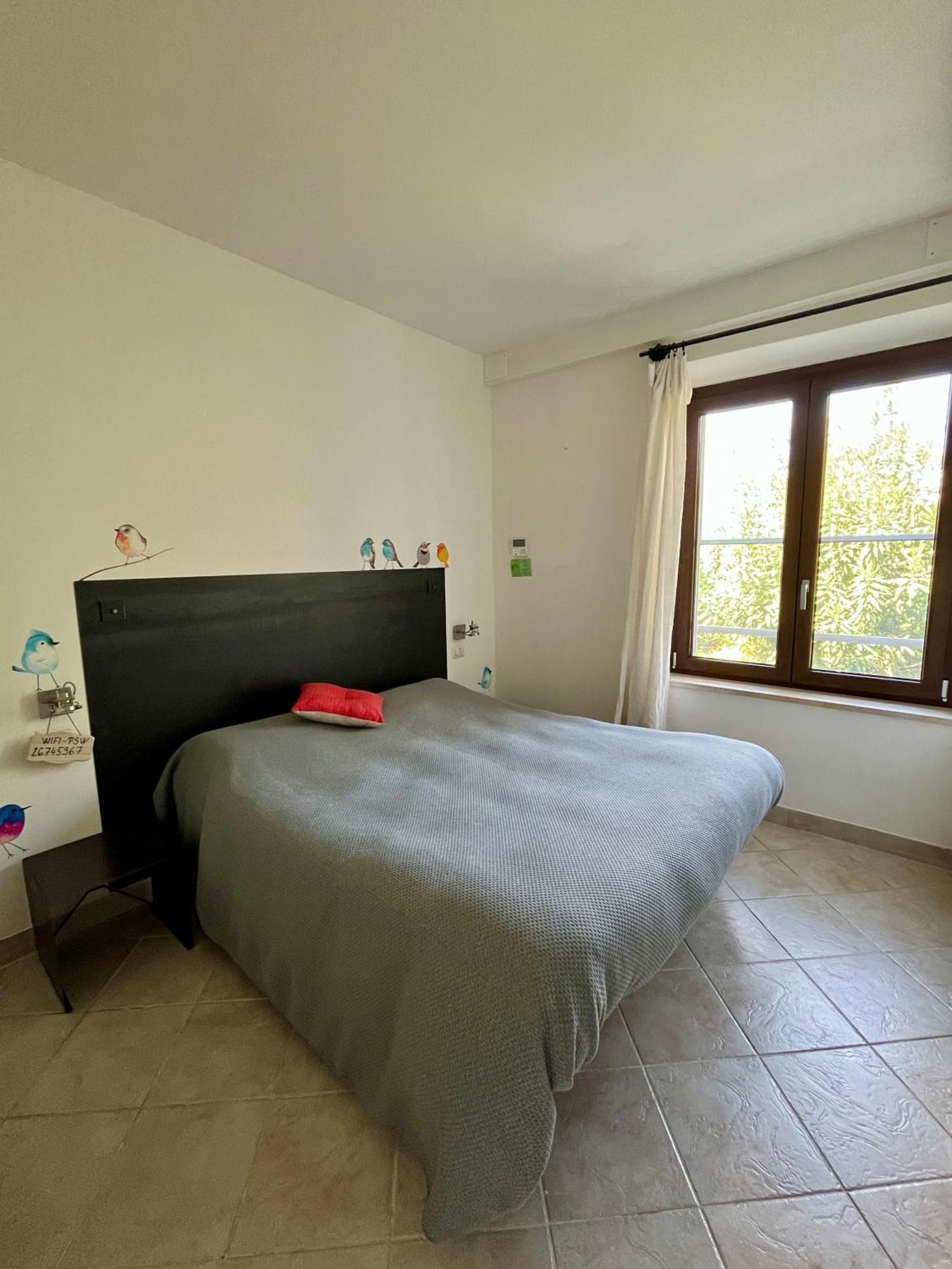 Artemisia Negli Ulivi B&B Magliano in Toscana Zewnętrze zdjęcie